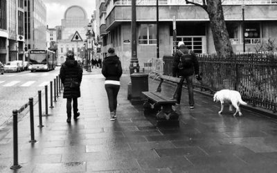 Brussel·les