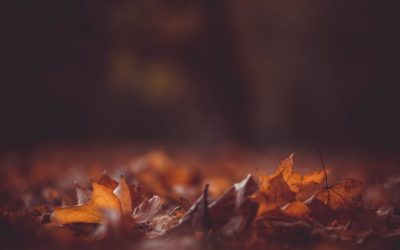 L'octubre
