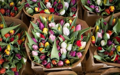 Sant Jordi