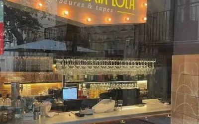 Un vestit d’organza